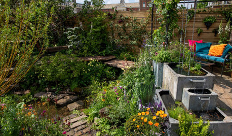 How to Design a Garden to Cope with Flood and Drought Conditions