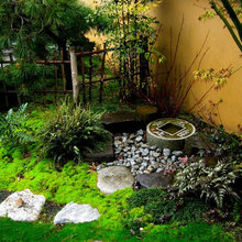 orchard knob Reno - courtyard