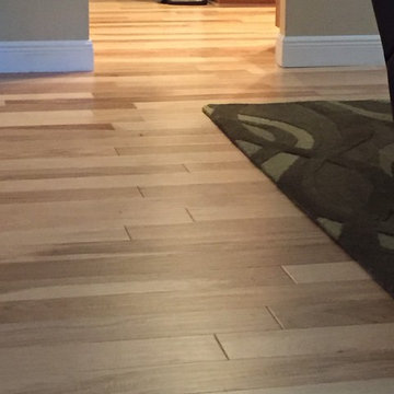 American Hickory Natural