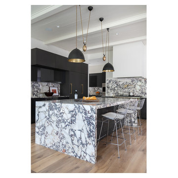 Bold and Monochromatic Kitchen in Houston