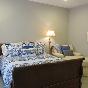 Relocation Project, Vienna, VA
