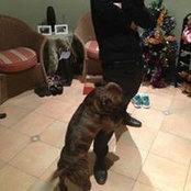 Joshua Liao's photo
