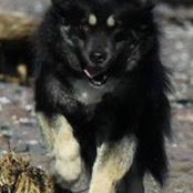 Sharon Malburg-Bartlett's photo