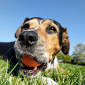 Erika Miller's photo