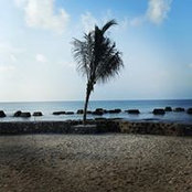 Susan Pollard's photo
