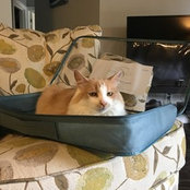 Tati Meyer's photo