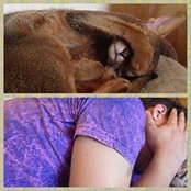 Michail Baranovsky's photo