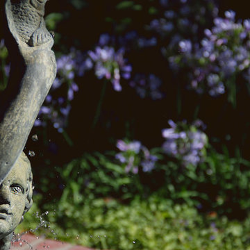 Water Features