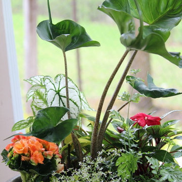 Summer Container Garden
