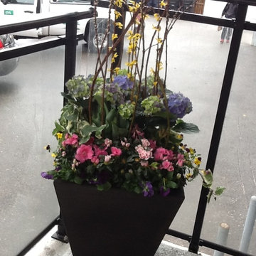 Spring Planter Arrangement