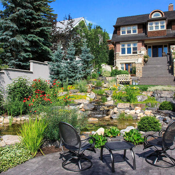 Mount Royal Feature