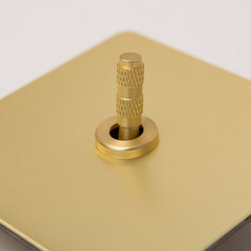 https://www.brassbee.co.uk/products/foundry-series-knurled-toggle-switches-and-s
