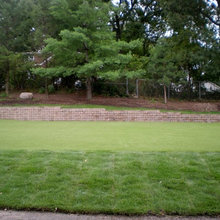 artificial turf