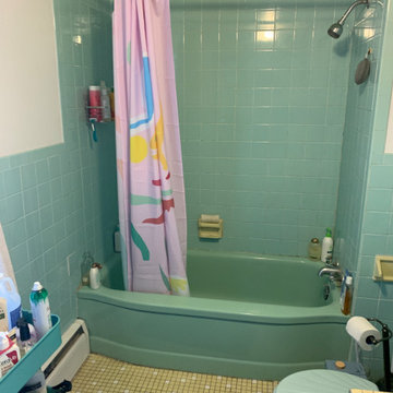 Bathroom Reno 441
