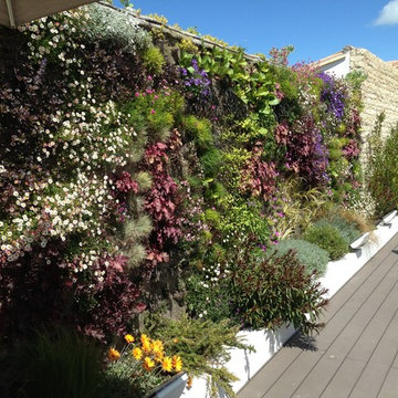 Jardin et murs végétalisés