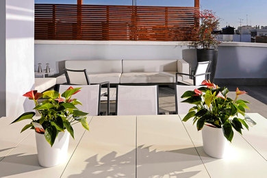 Diseño de terraza contemporánea grande en azotea con pérgola