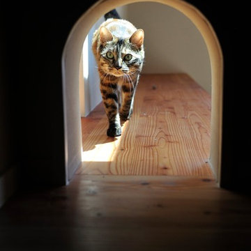 猫と暮らす家