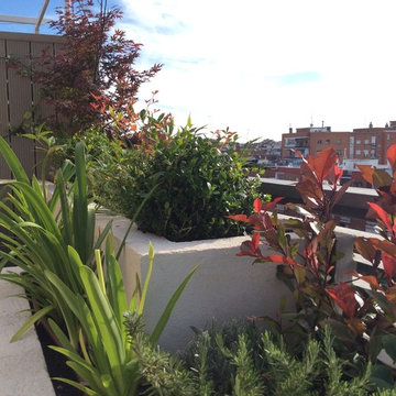 Ático en el centro de Madrid