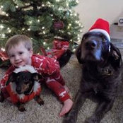 Rachel Wyant's photo