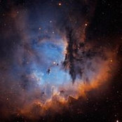 Vanessa Wong's photo