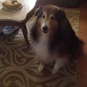 Sharon Wallace Lissimore's photo