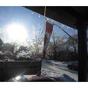 Tracey Hames Chiasson's photo