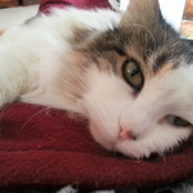 muffin44s foto