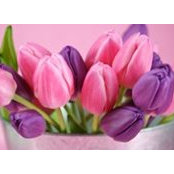 Eman Malash's photo