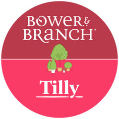 bower_and_branch