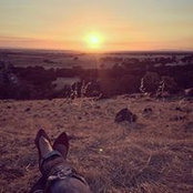 Ashley Harrigan's photo