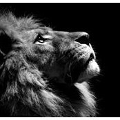Charles Johnson's photo