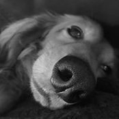 Gemma Arden's photo