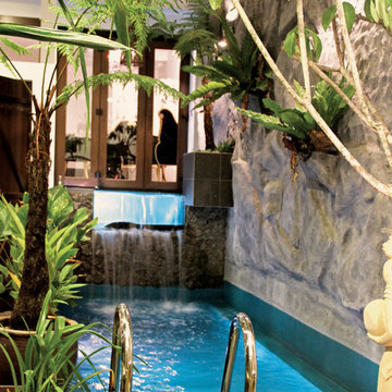 Portfolio 26 (Intermediate Terrace/Tropical)