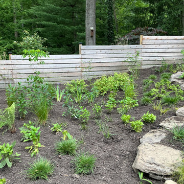 Conservation and rain gardens landscape