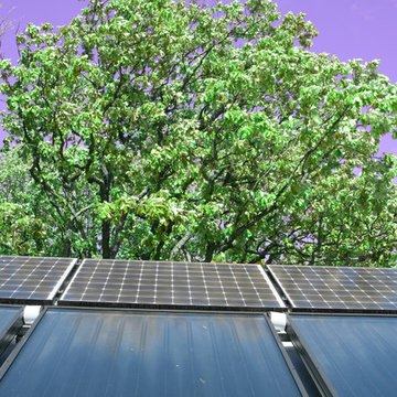LEED-Qualified Green New Construction - Wilmette, IL