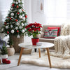 Mooy Christmas Accent Pillow, Cloud Gray, 26"x26"