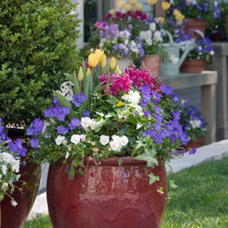Spring Rotations - Plants