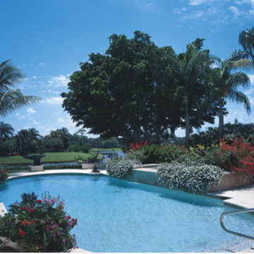 Art Collector's Palm Beach Villa