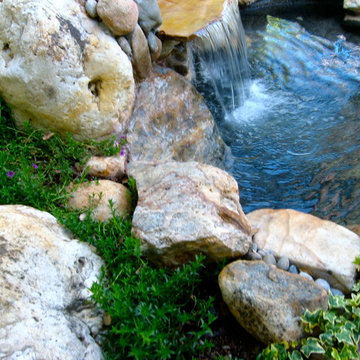 Los Gatos Townhouse Courtyard, Cold Plunge Spa