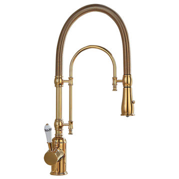 High Arc Swiveling Pull Out Spray Kitchen Faucet with Single Porcelain Handle, G