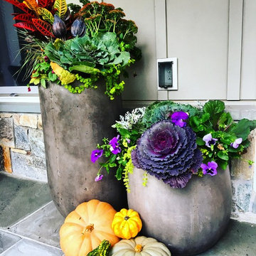 Fall Container Garden Design