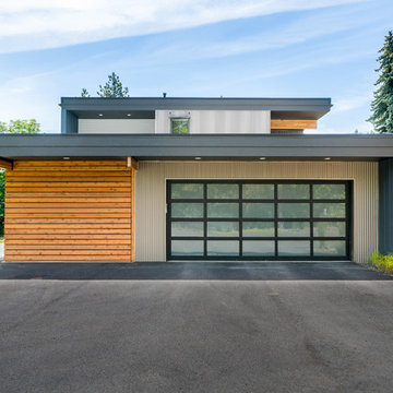 Contemporary Neighbors - #2