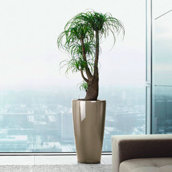 Modern Planter - Products