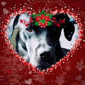 Yvonne May's photo