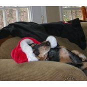 Foto de Lisa Leslie Bearden
