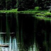 Jeff Prenevost's photo