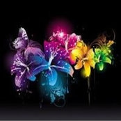 Danielle Magnant's photo