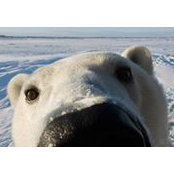 Jason Lung's photo