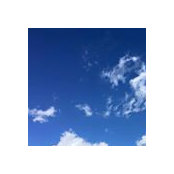 A K's photo