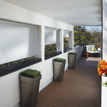 Roller Shades & Blinds